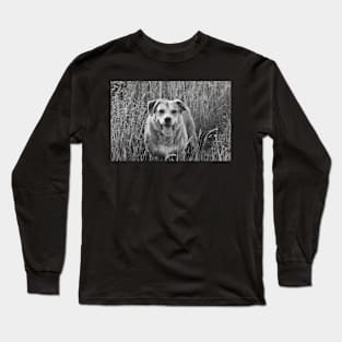 Happy Dog in Field Long Sleeve T-Shirt